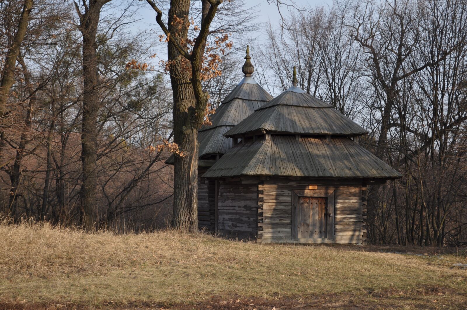 Nikon D5000 sample photo. Church, ukraine, house photography
