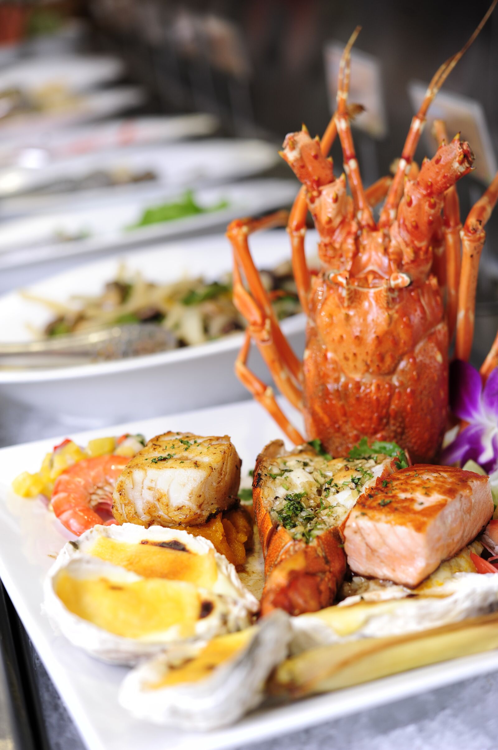 Nikon D700 sample photo. Amigo, seafood, lobster photography