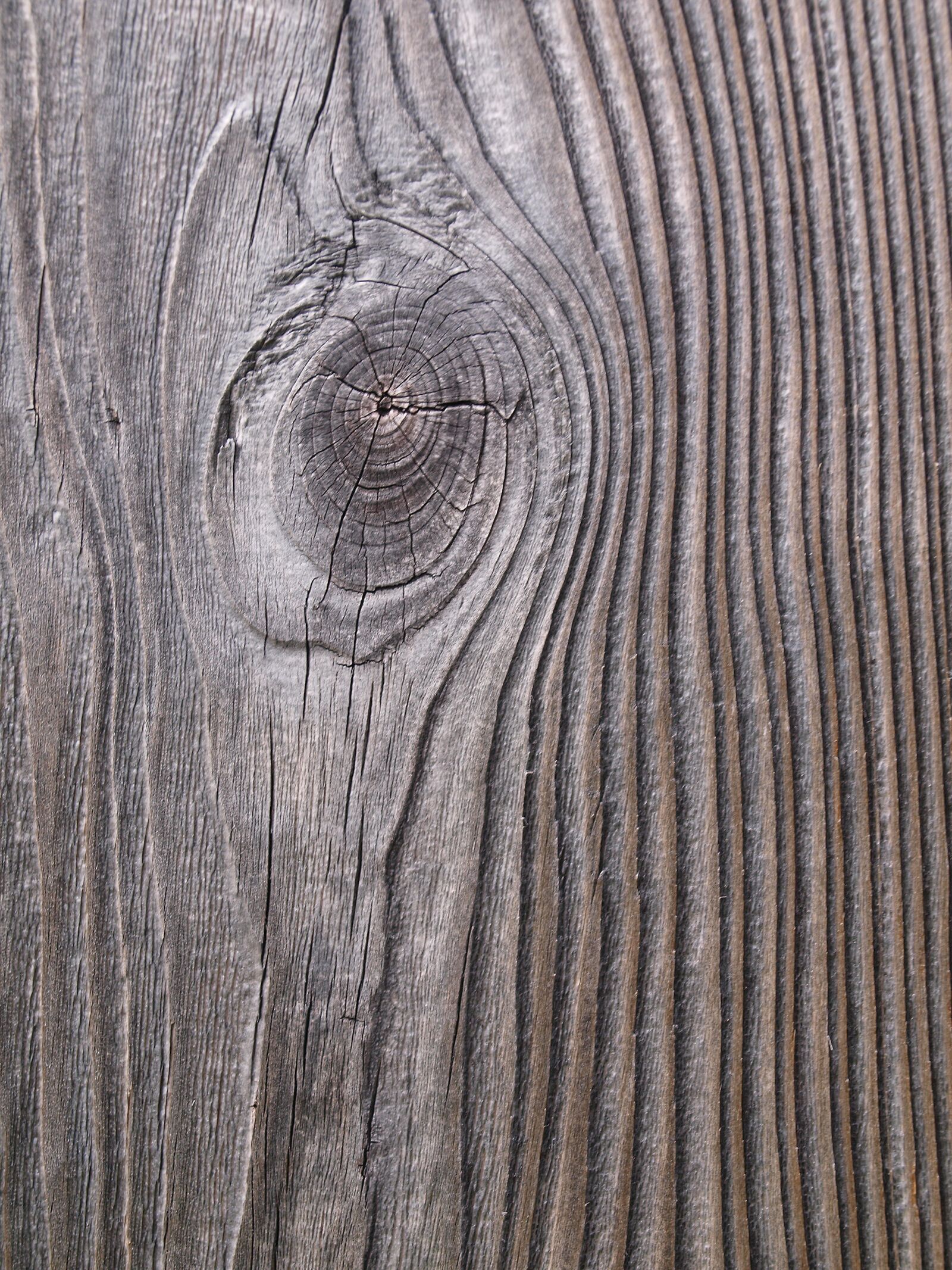 Olympus E-520 (EVOLT E-520) sample photo. Wood, grain, annual rings photography