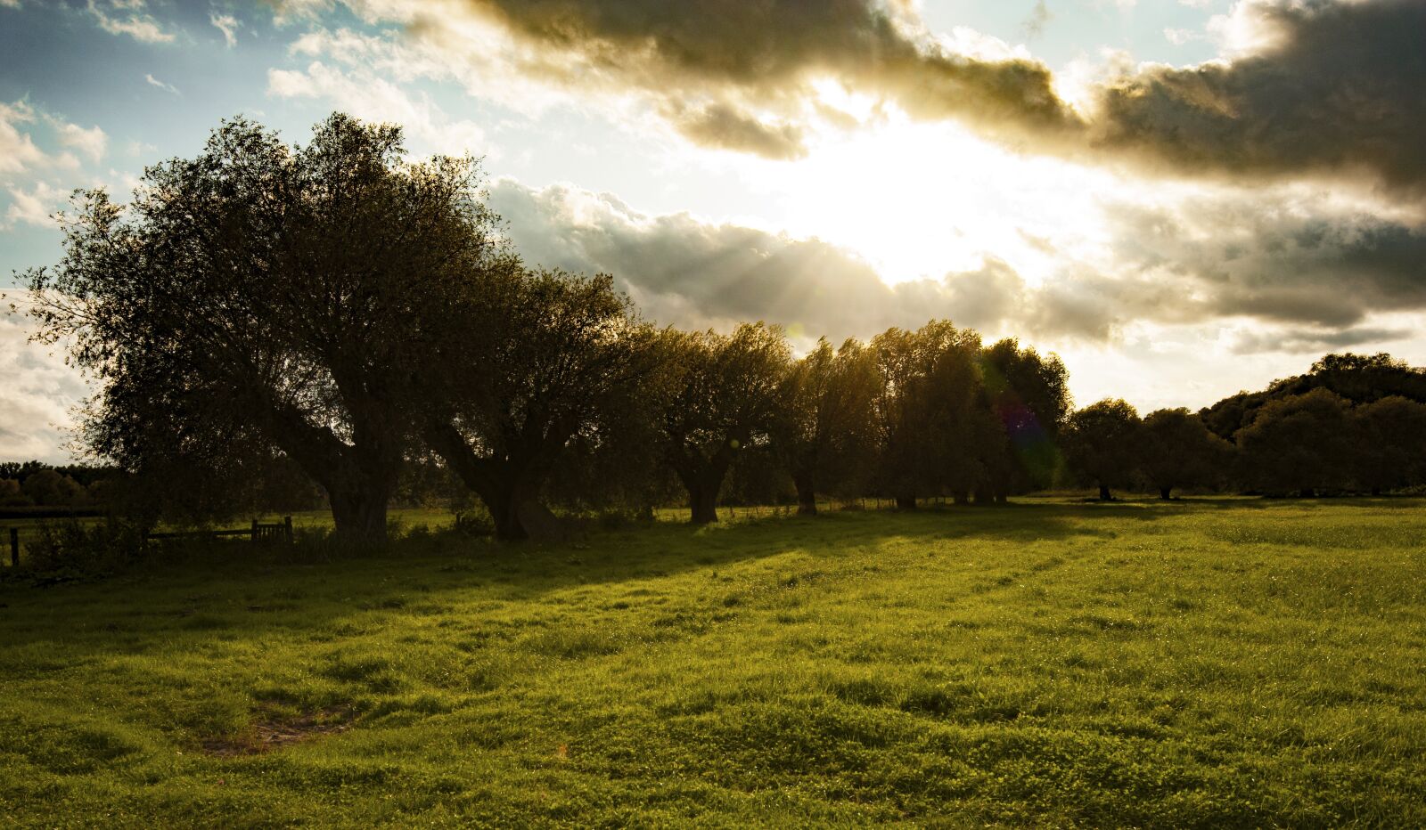 Nikon D700 sample photo. West, sun, autumn photography