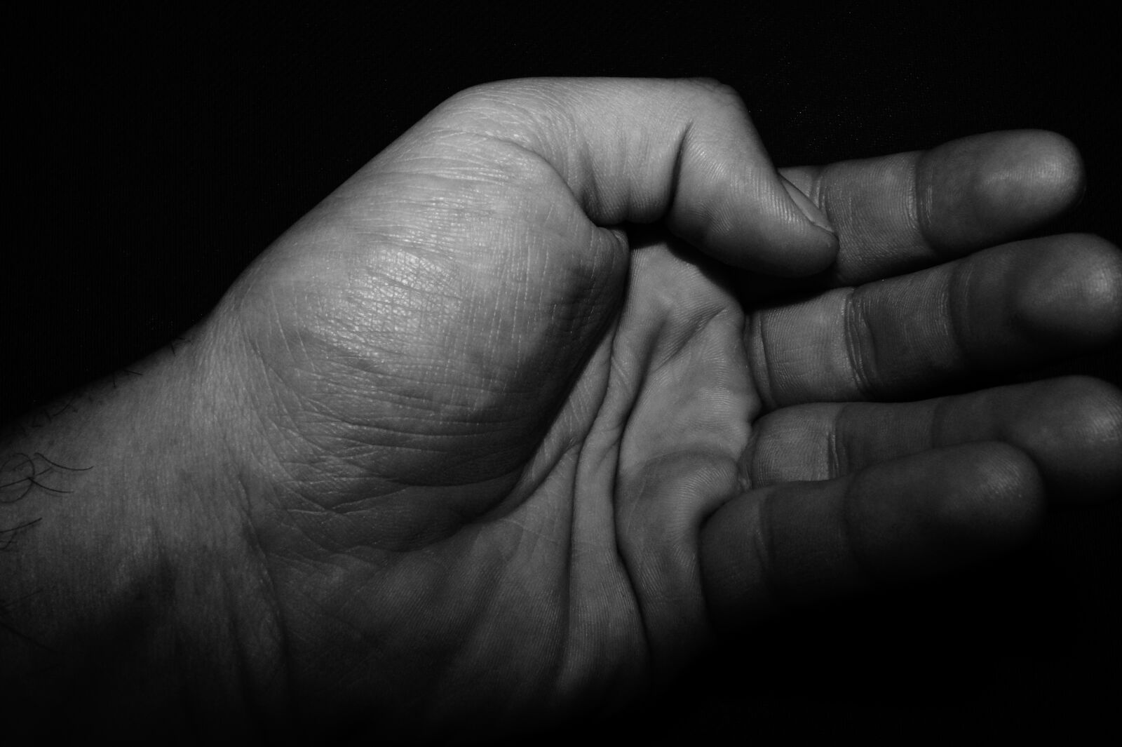 Sony DT 18-55mm F3.5-5.6 SAM II sample photo. Hand, hands, fear photography