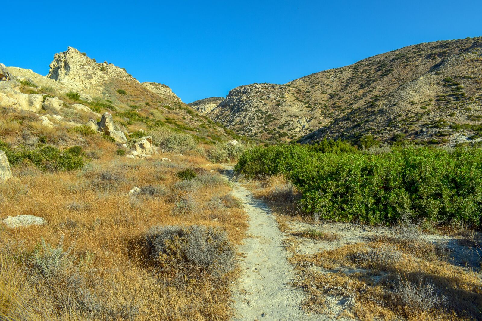 Nikon D3300 sample photo. Path, wilderness, landscape photography