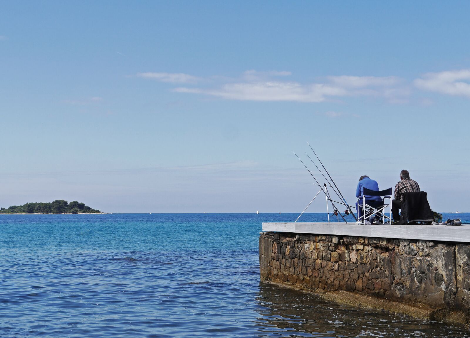Panasonic Lumix DMC-GH3 sample photo. Mediterranean, mole, fish photography