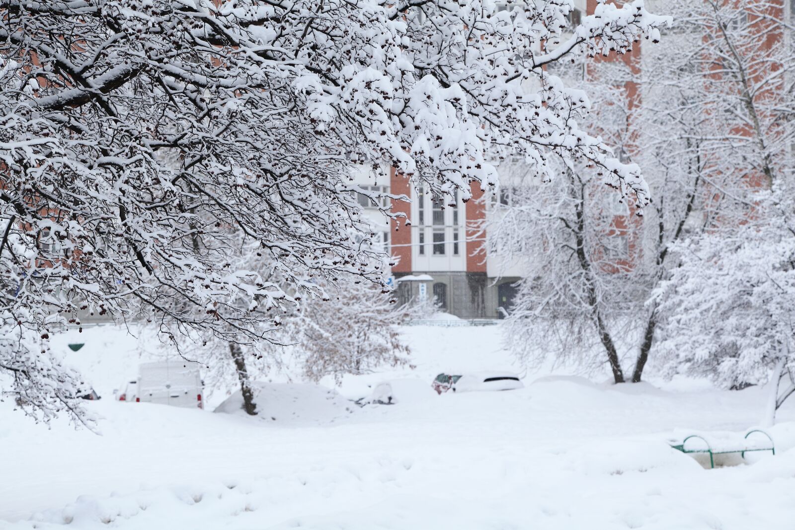 Canon EOS 5D Mark II sample photo. Russian winter, white snow photography