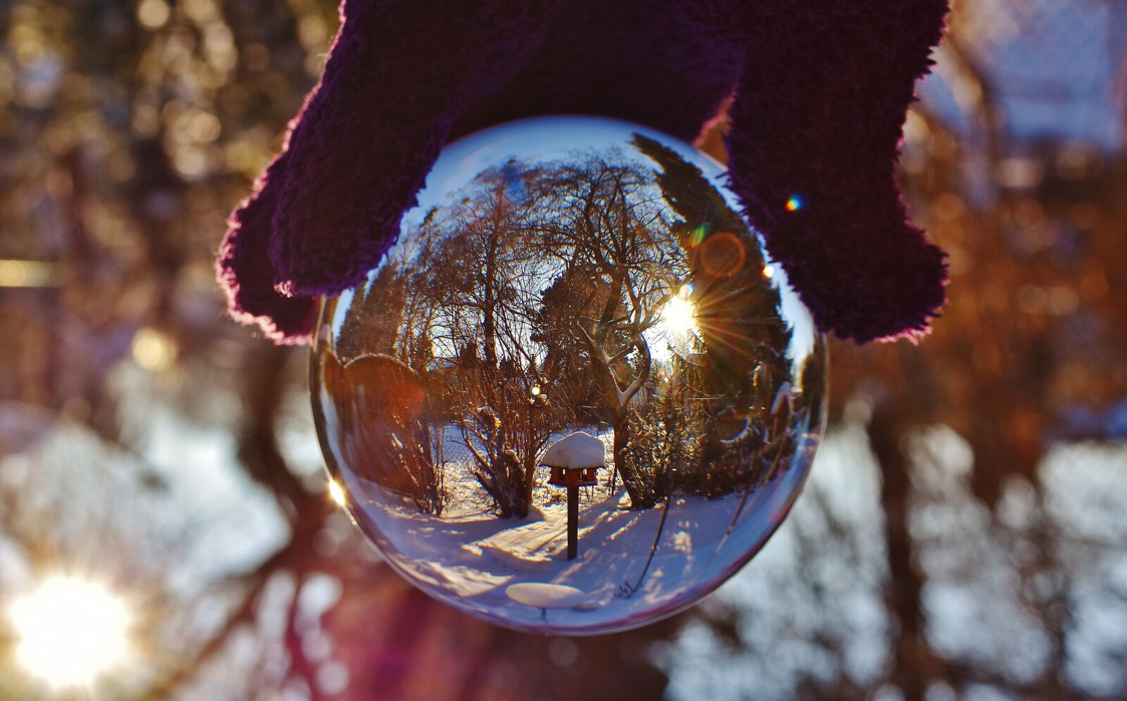 Nikon D7200 sample photo. Glass ball, mirroring, transparent photography