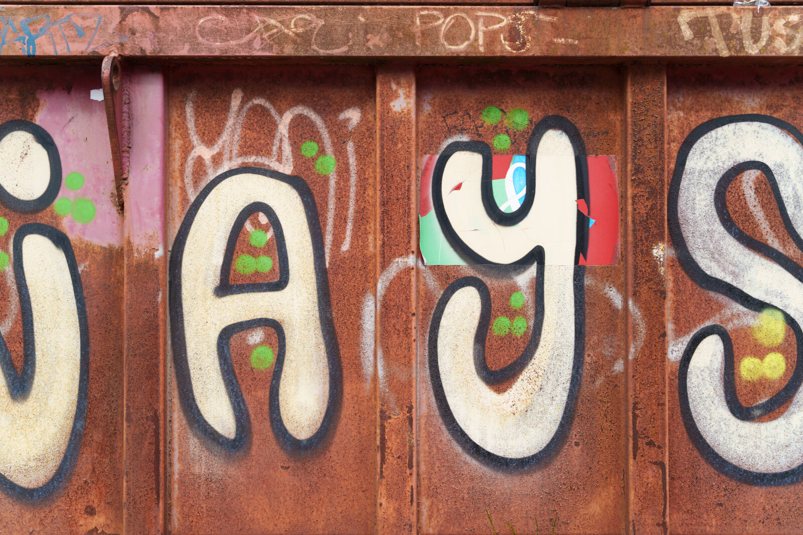 Sony a7R V sample photo. Container graffiti photography