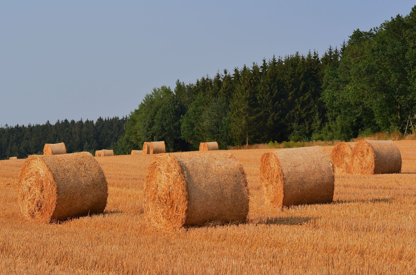 Nikon D5200 sample photo. Harvest, straw bales, summer photography