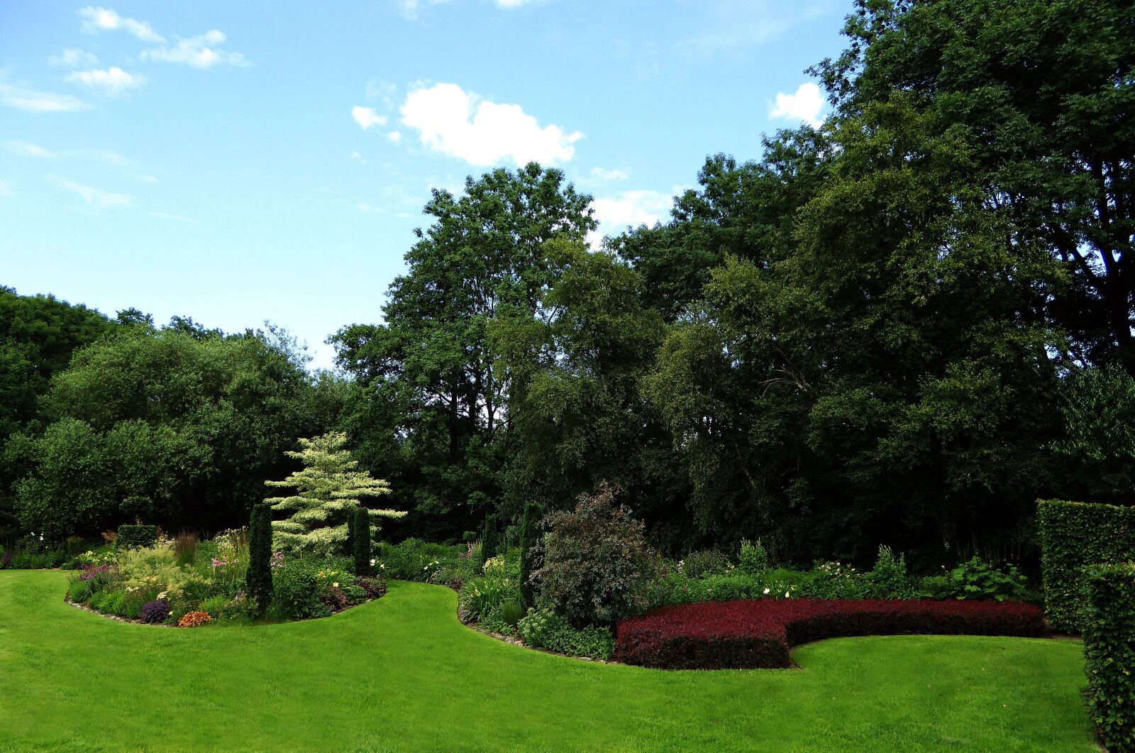 Panasonic DMC-TZ61 sample photo. Ornamental garden, green, trees photography