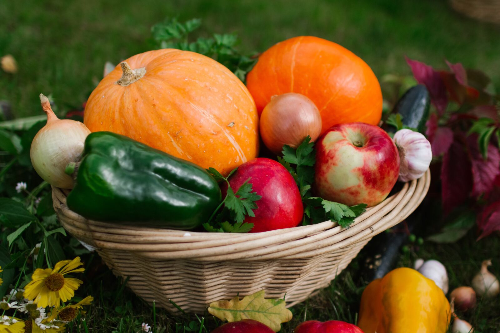 Canon EOS 60D sample photo. Vegetables, basket, autumn photography