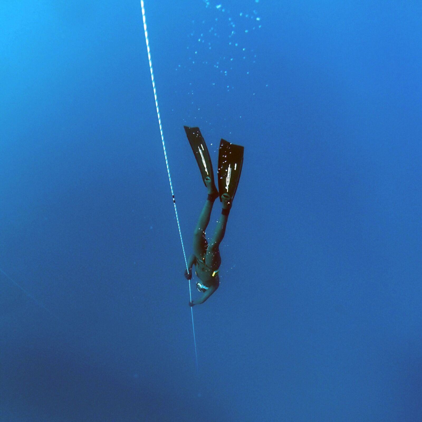 Olympus TG-2 sample photo. Freediving, deep, underwater photography