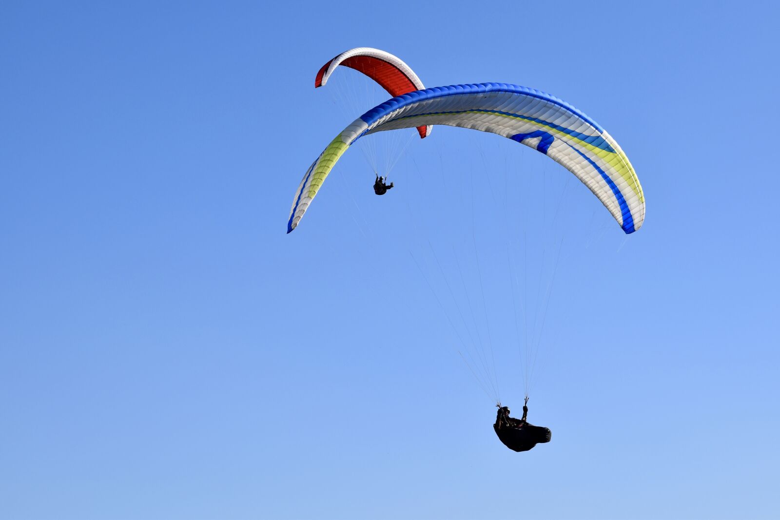 Nikon D5600 sample photo. Paragliders, paraglider, sails of photography