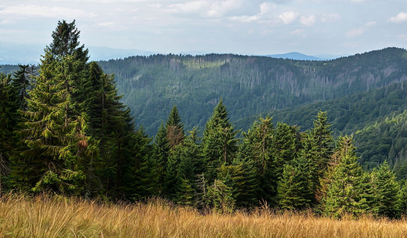 Nikon D7000 sample photo. Mountains, landscape, forest photography