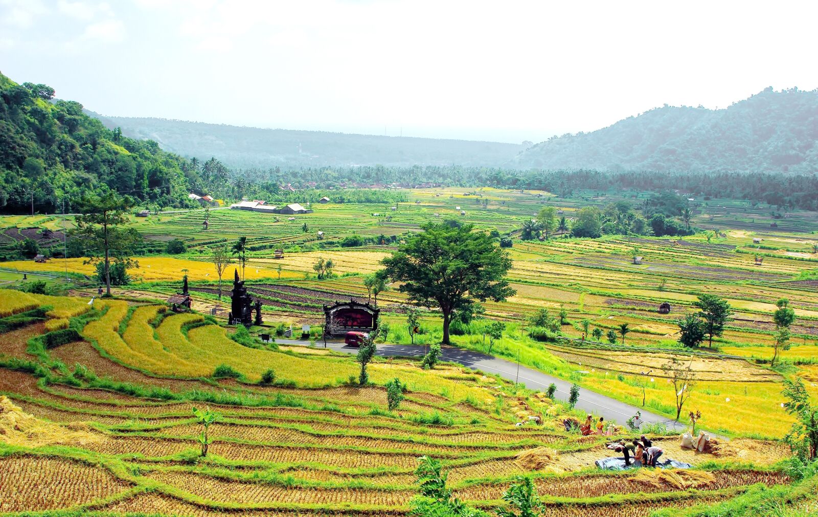 Pentax K200D sample photo. Bali, indonesia, rice photography