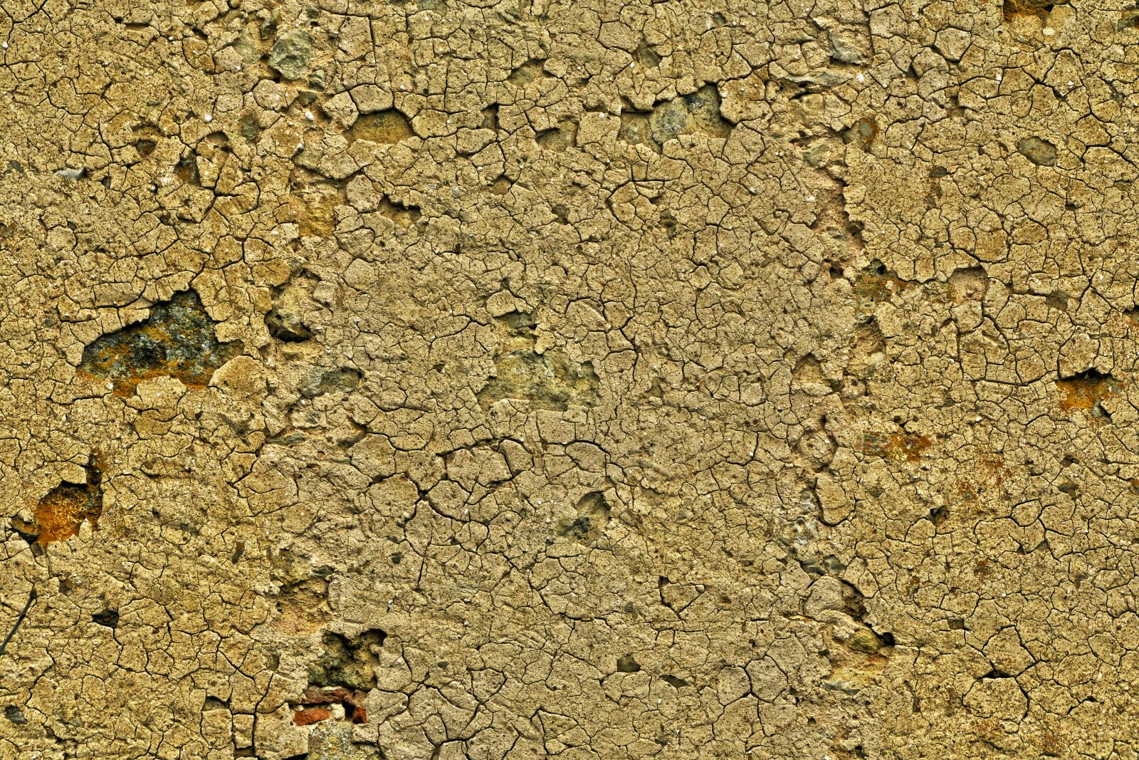 Panasonic Lumix DMC-FZ1000 sample photo. Wall, facade, plaster photography