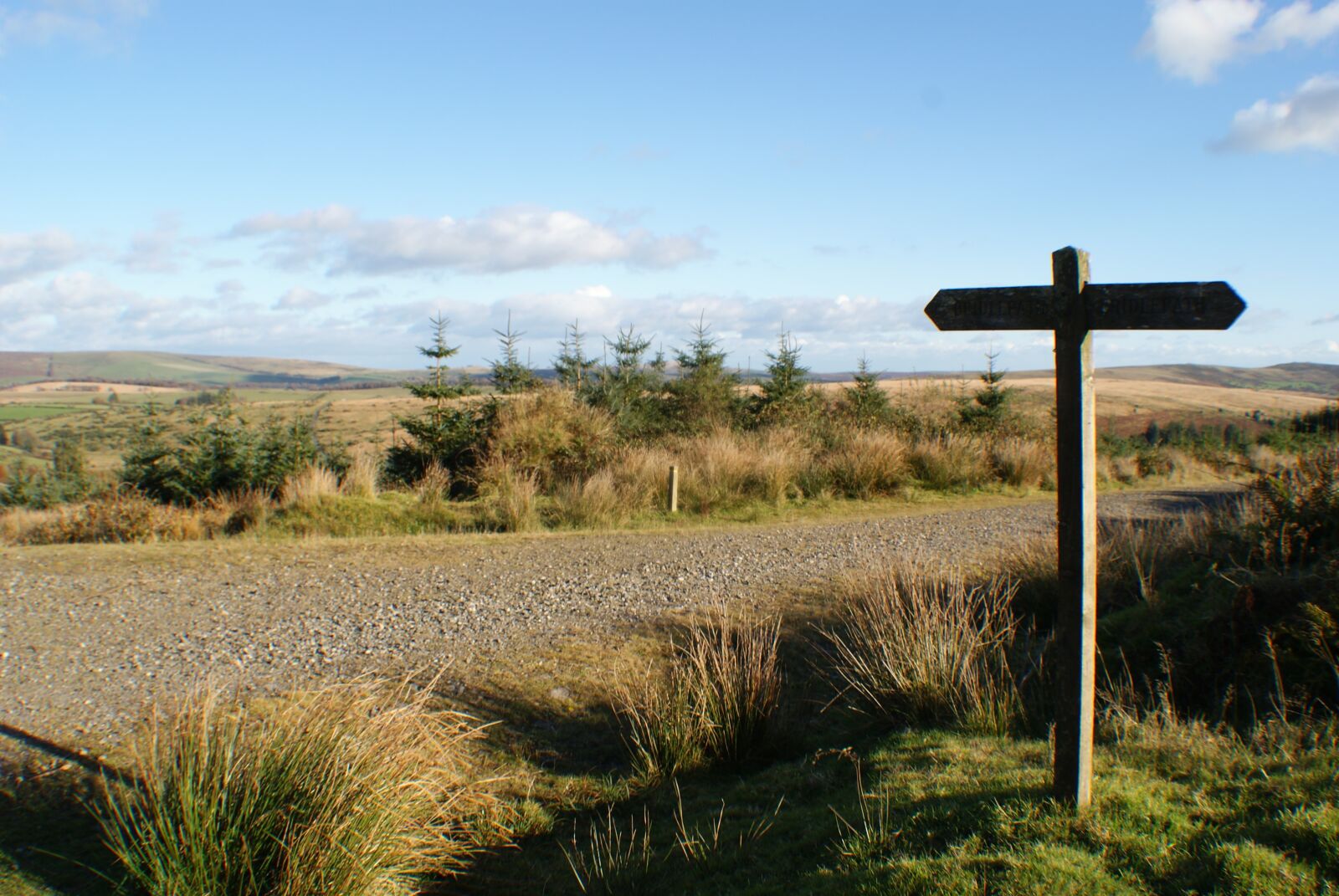 Sony Alpha DSLR-A300 sample photo. Signpost, journey, hike photography