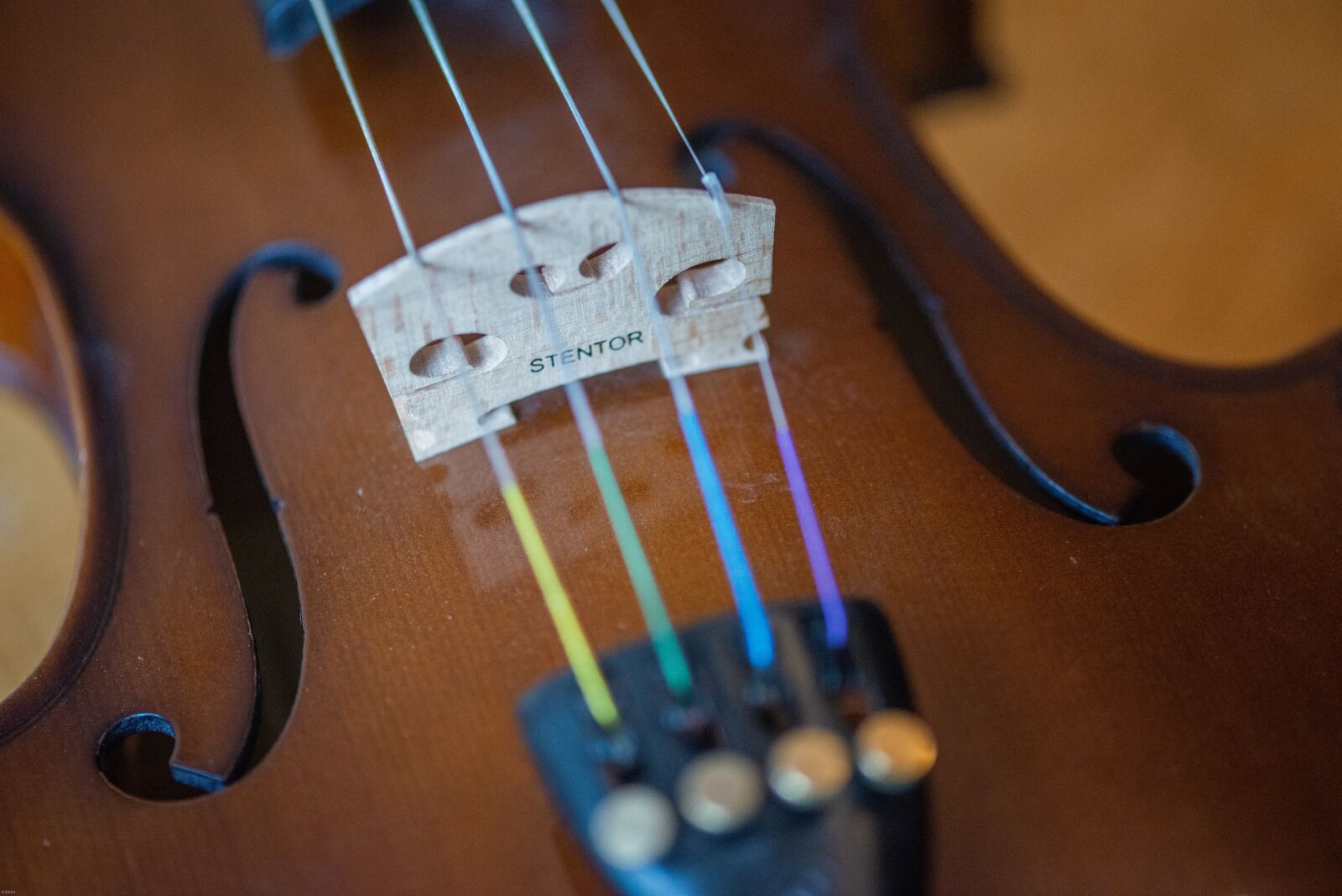 Nikon D800 sample photo. Macro, violin, bridge photography
