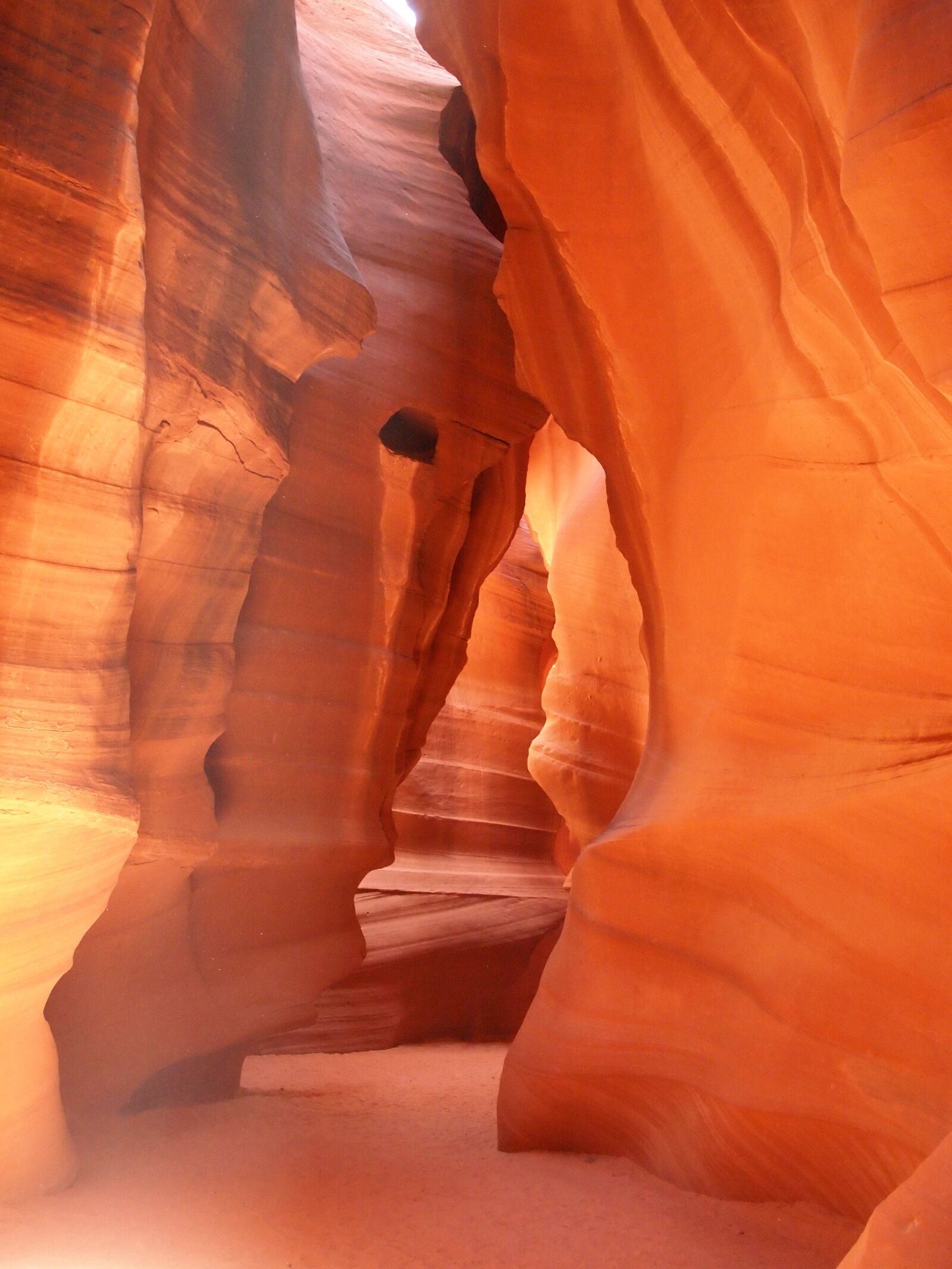Olympus PEN E-PL1 sample photo. Usa, light, nature photography