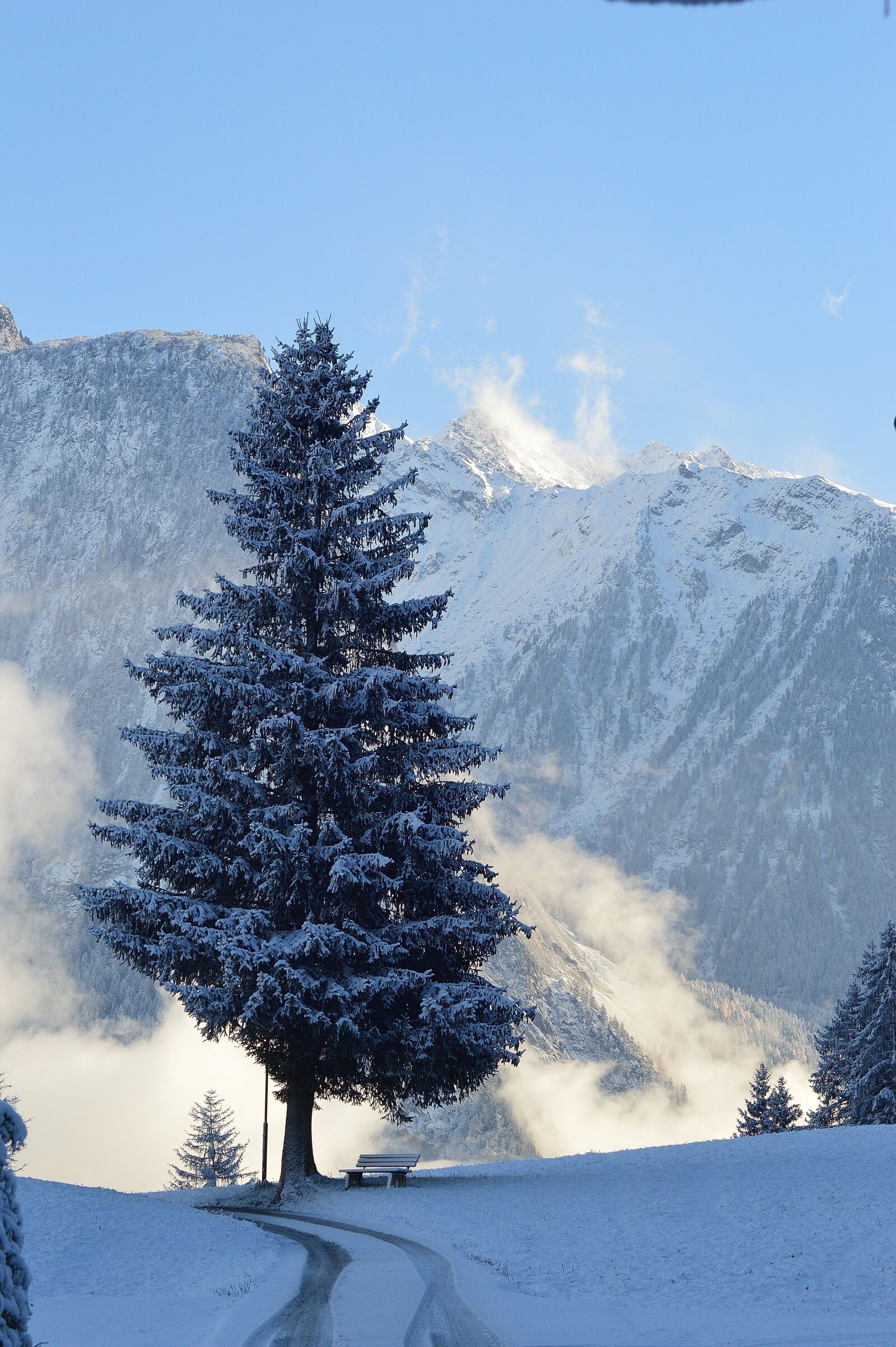 Nikon D3200 sample photo. Winter, snow, sautens photography