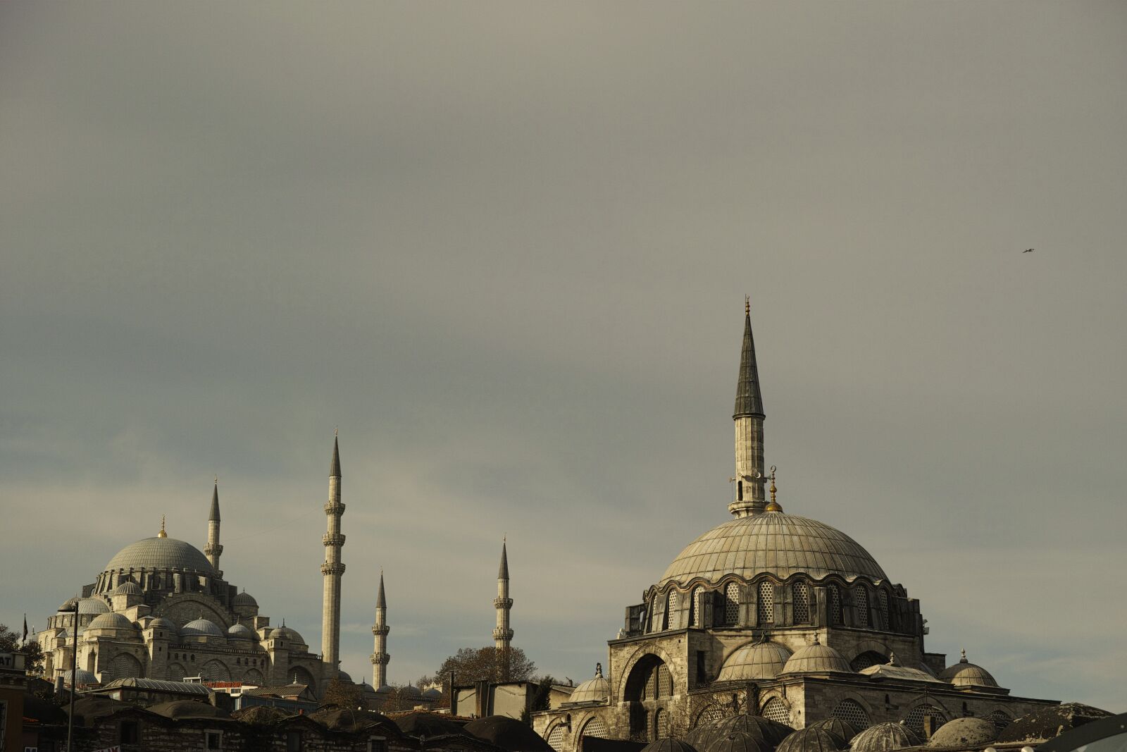 Sigma dp3 Quattro sample photo. Cami, dome, turkey photography