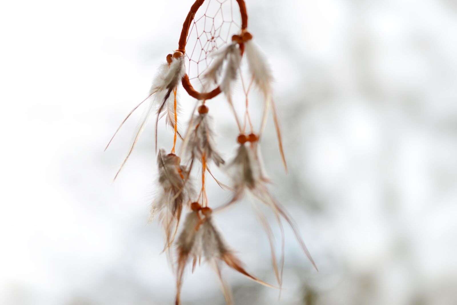 Nikon D800 sample photo. Dream catcher, dreamcatcher, feather photography