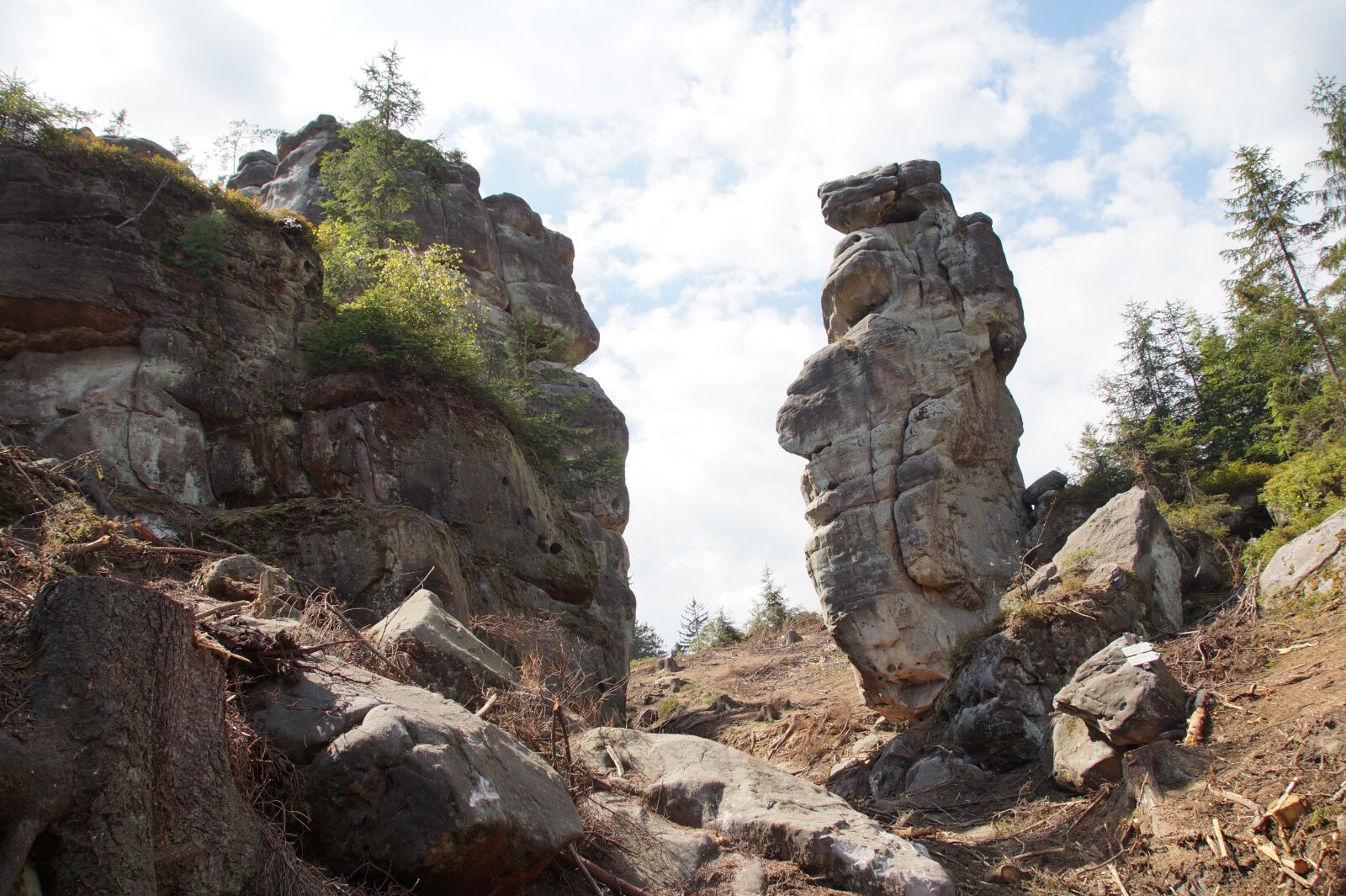 Sony SLT-A58 sample photo. Sandstone, sandstone rocks, broumovsko photography