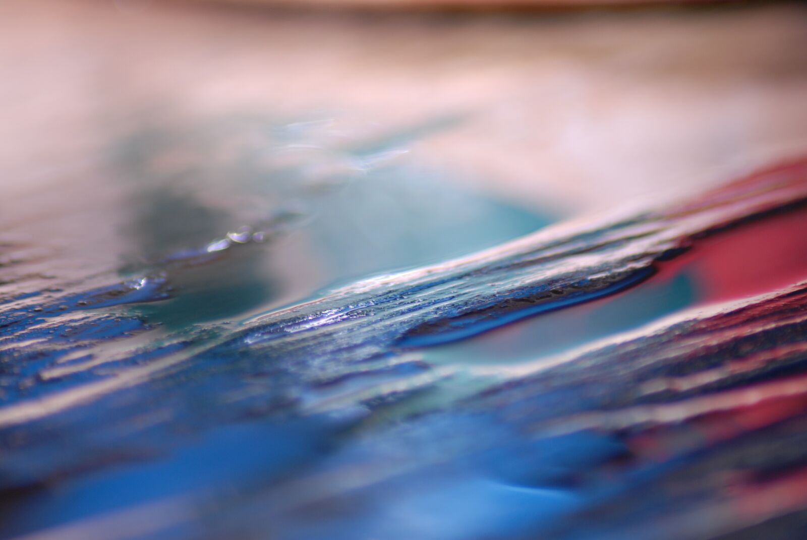 Nikon D200 sample photo. Texture, colors, background photography