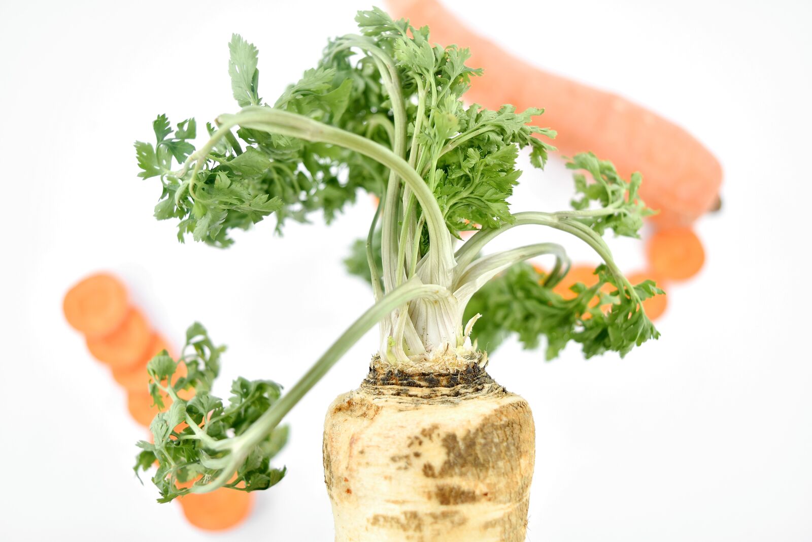 Nikon D5500 sample photo. Antioxidant, carrot, organic, parsley photography