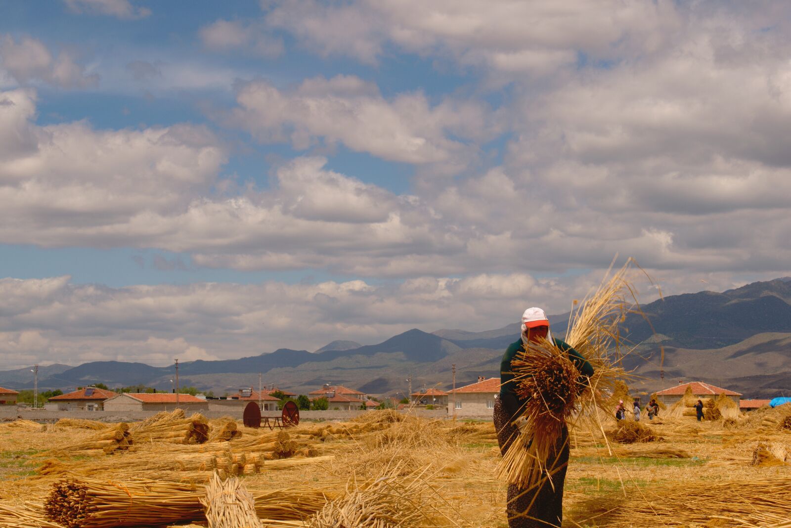 Nikon D3300 sample photo. Erciyes, reedy, cloud photography