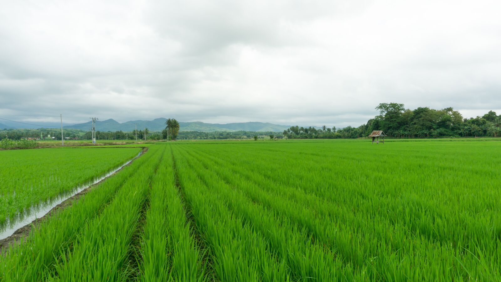 Sony E 16-50mm F3.5-5.6 PZ OSS sample photo. Landscape, scenic, nature photography