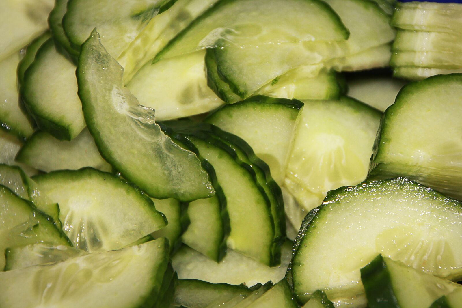 Canon EOS 550D (EOS Rebel T2i / EOS Kiss X4) sample photo. Cucumbers, salad, green photography