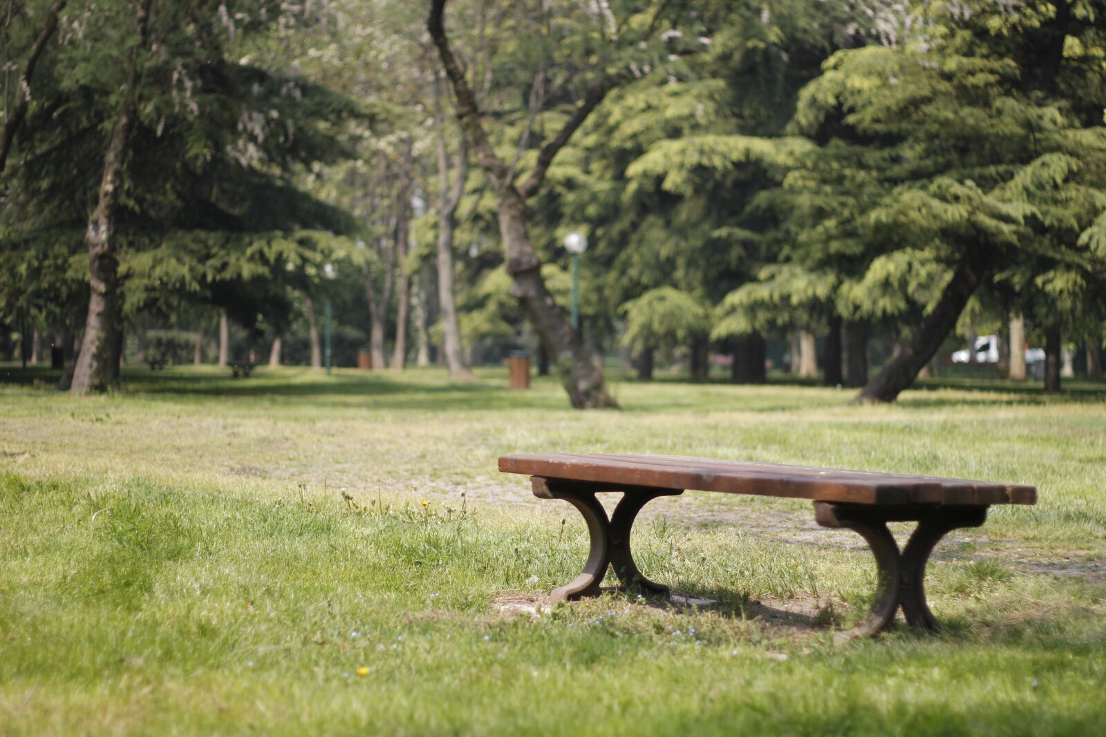 Canon EOS 60D + Canon EF 50mm F1.8 II sample photo. Botanical, park, garden photography
