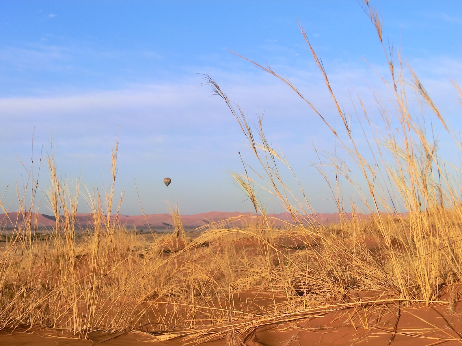 CASIO EX-H30 sample photo. Namibia, desert, namib photography