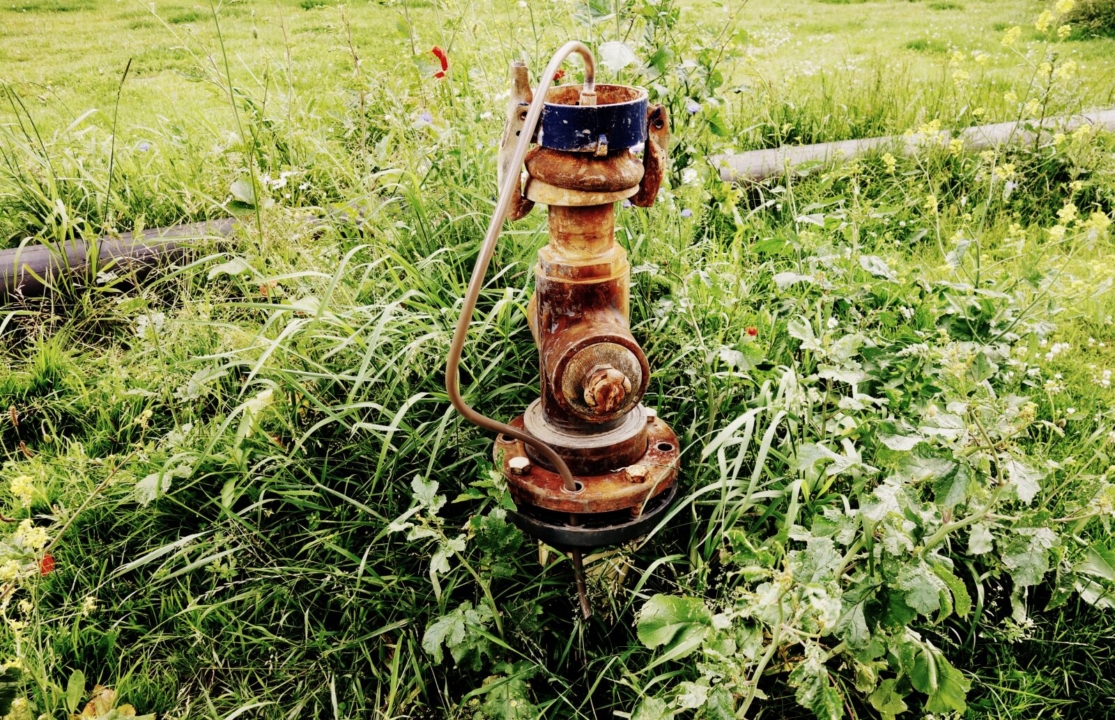 Sony Cyber-shot DSC-RX100 sample photo. Pump, water pump, gear photography