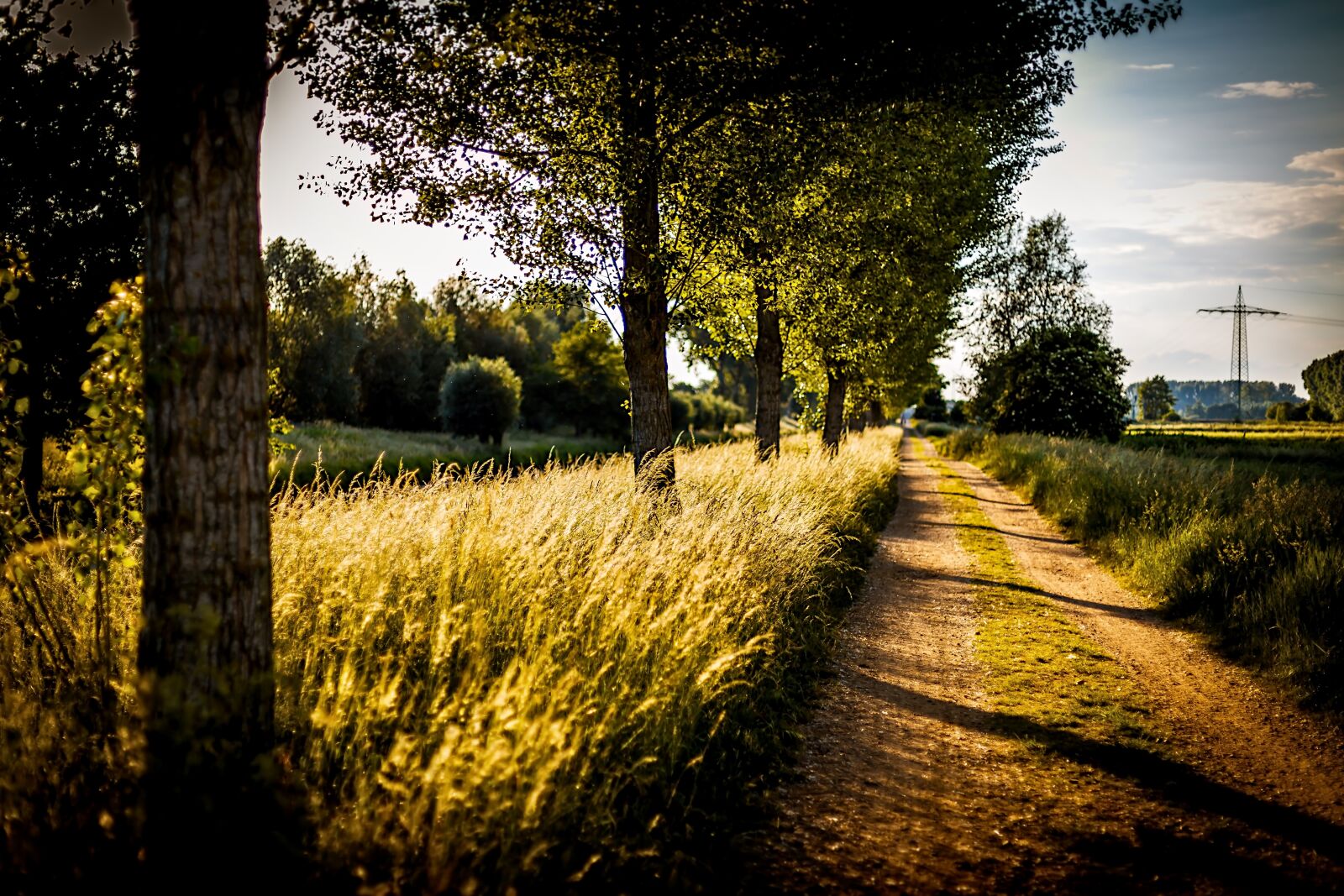 Canon EOS 6D + Canon EF 50mm F1.4 USM sample photo. Path, sunset, landscape photography