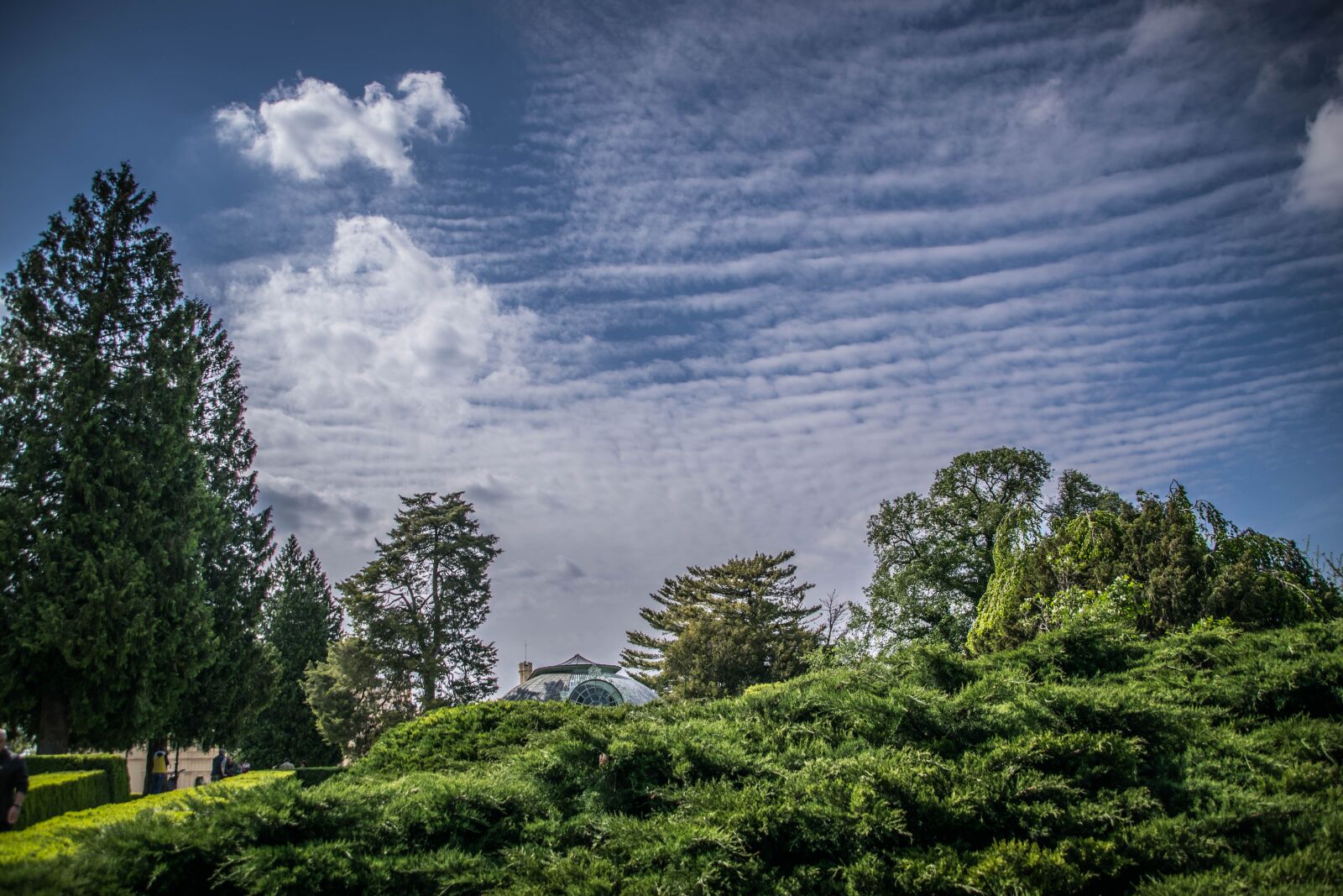 Nikon D5300 sample photo. Landscape, sky, clouds photography