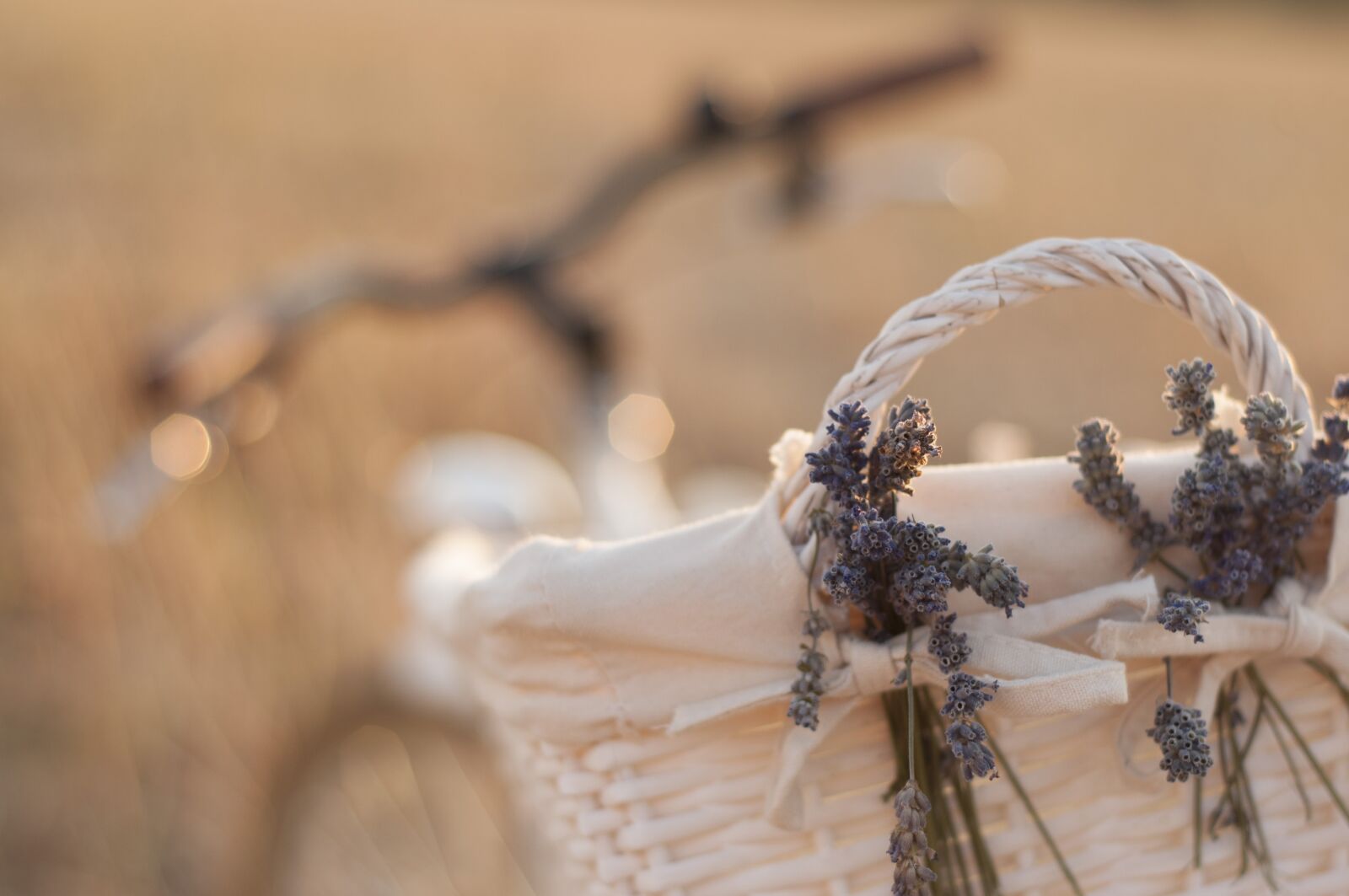 Nikon D90 sample photo. Bike, lavender, cart photography