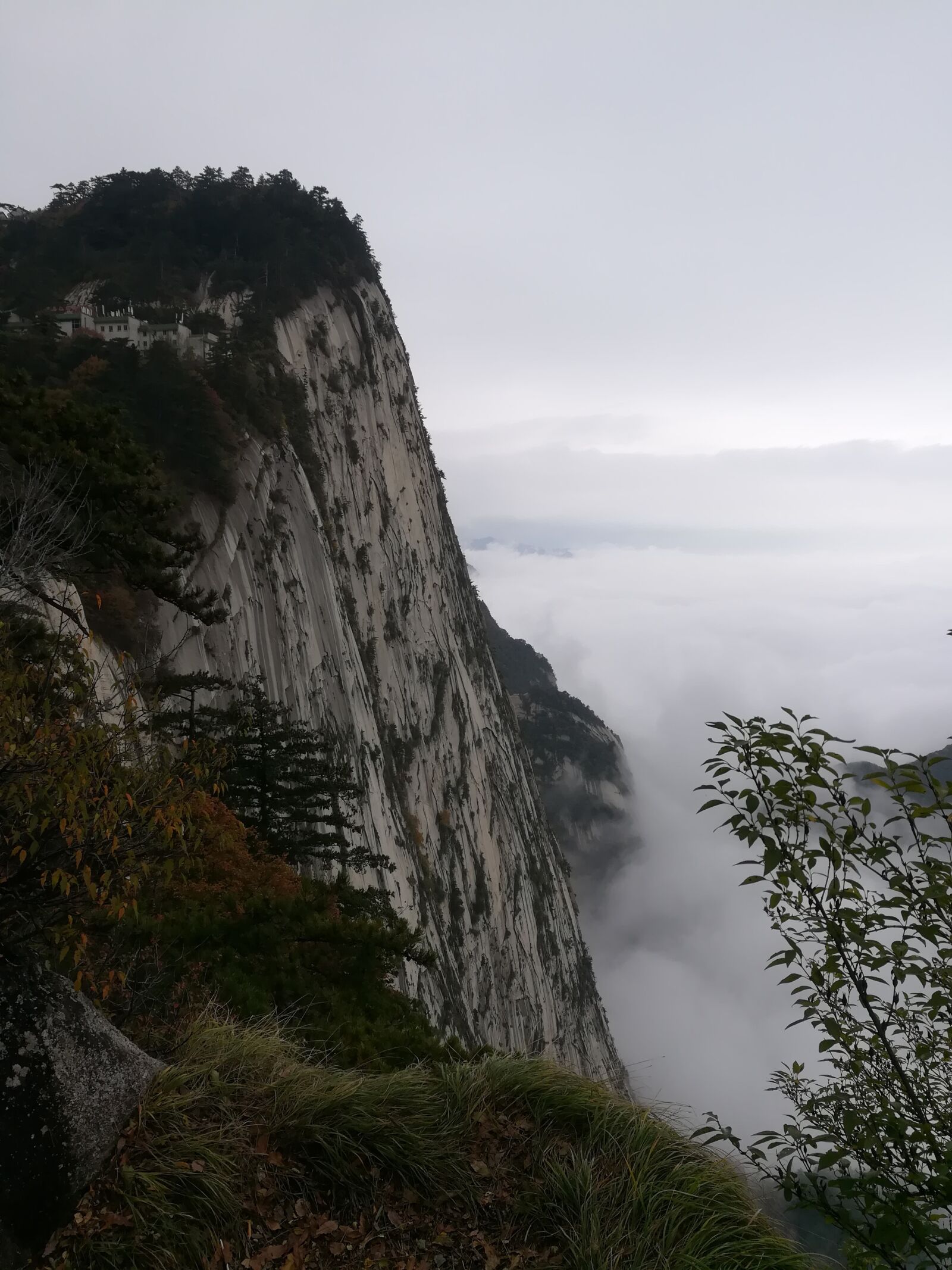 HUAWEI c??Eu?s 6X sample photo. Pinus armandii, cloud, cliff photography