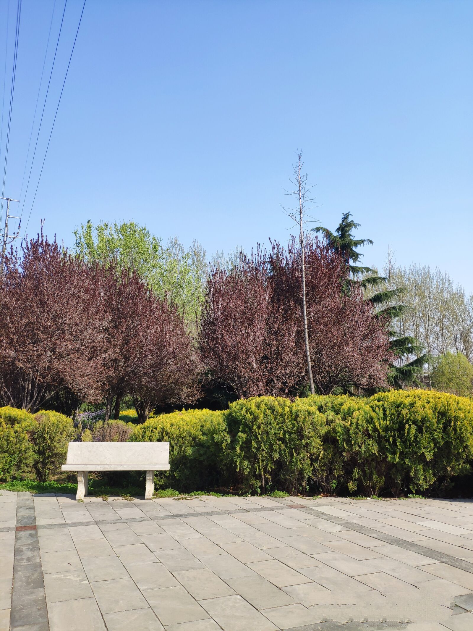 Xiaomi MI 8 sample photo. Park, stone bench, sky photography