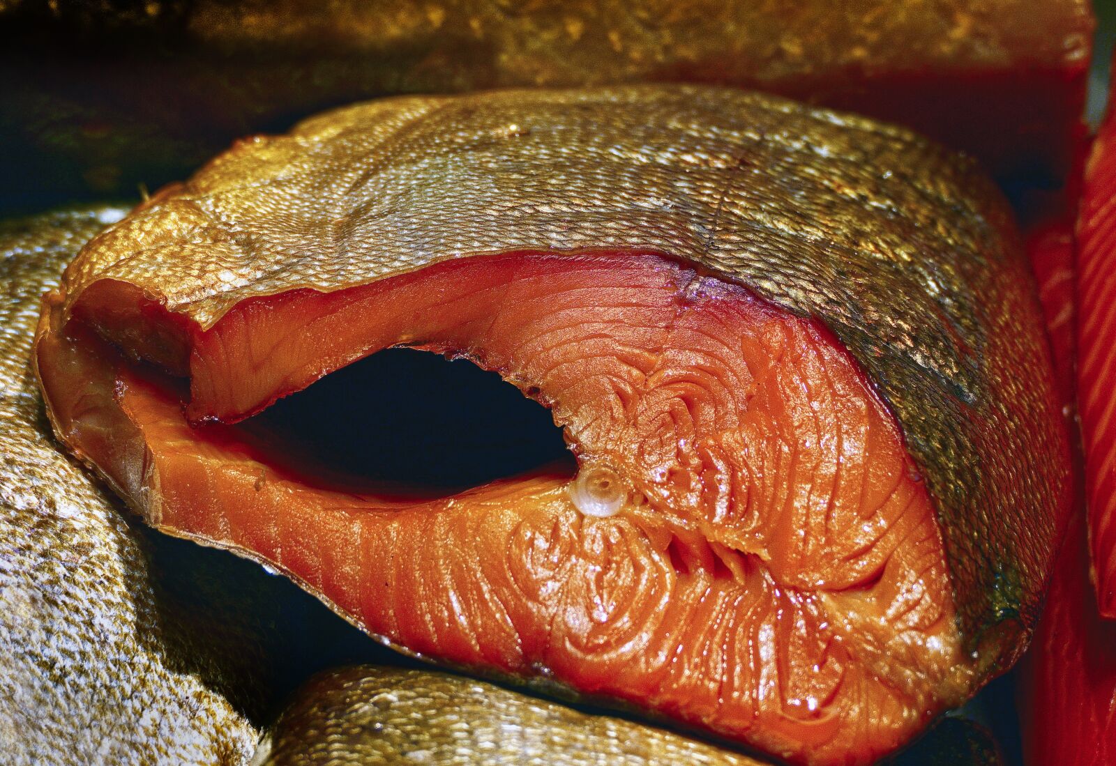 Panasonic Lumix DMC-FZ1000 sample photo. Eel, freshwater eel, filleted photography