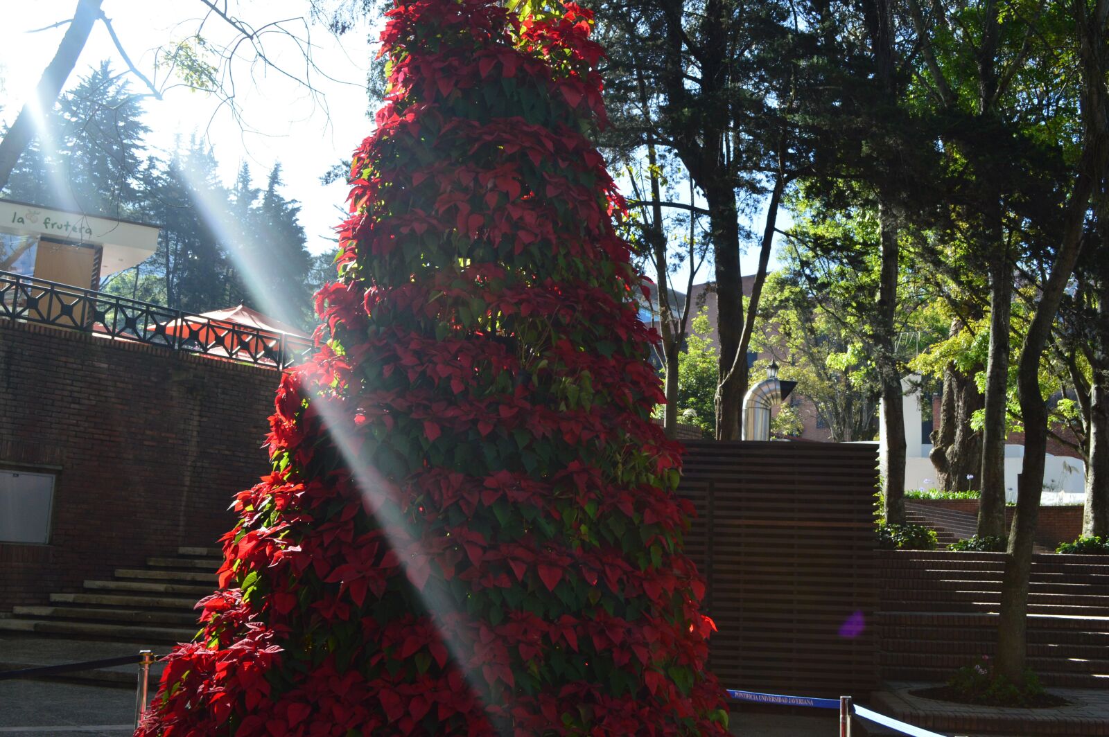 Nikon D3200 sample photo. Christmas, husi, memories photography