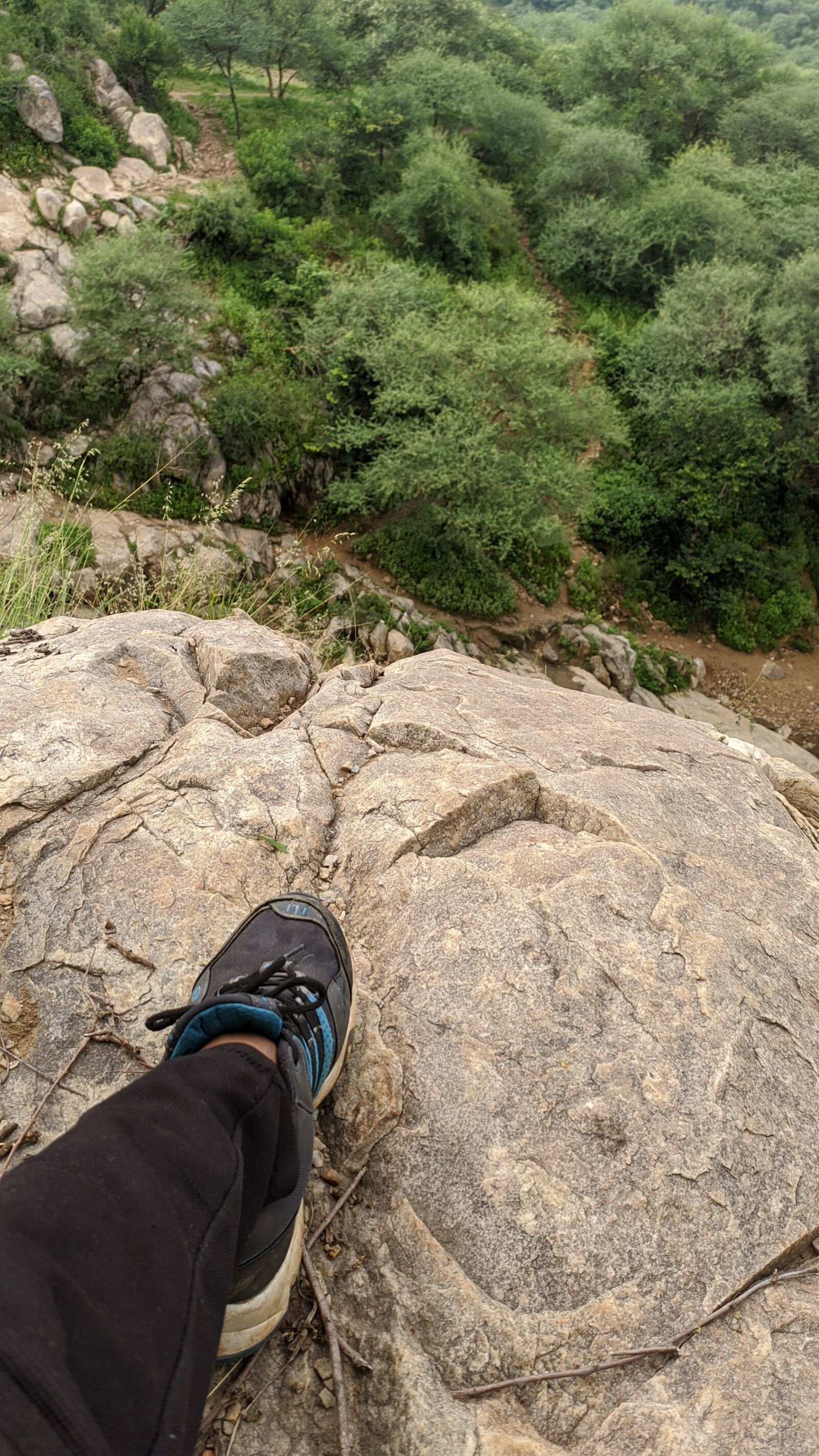 Xiaomi Redmi Note 8 sample photo. Green, shoe, skills photography