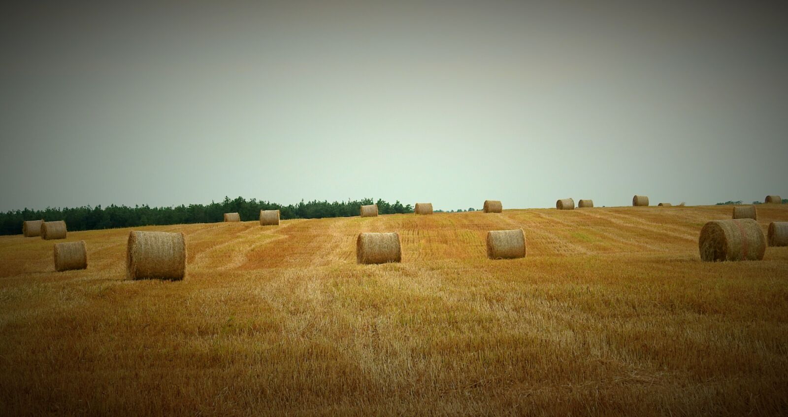 Nikon Coolpix P900 sample photo. Harvest, straw bales, field photography