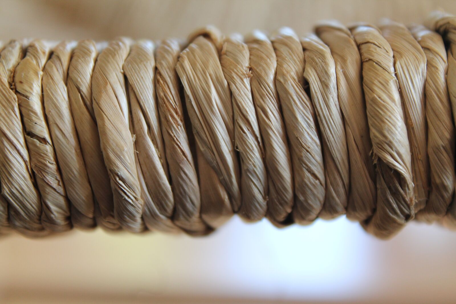 Canon EOS 1100D (EOS Rebel T3 / EOS Kiss X50) sample photo. Straw, blur depth, depth photography