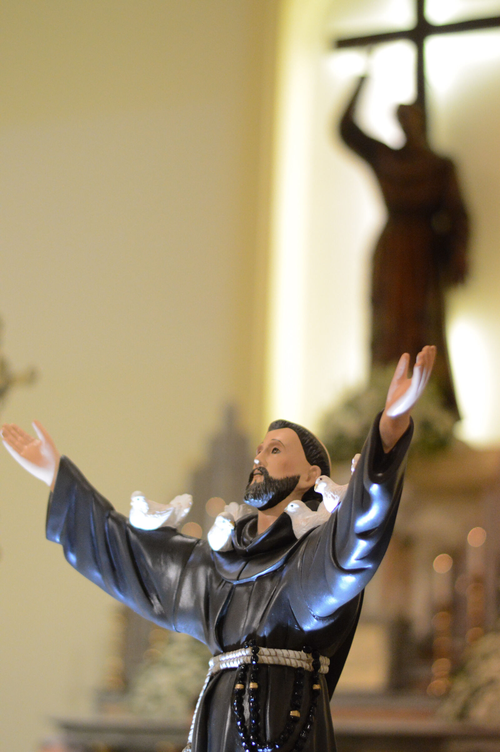 Nikon D3200 + Nikon AF-S Nikkor 50mm F1.8G sample photo. Animals, birds, church, iglesia photography
