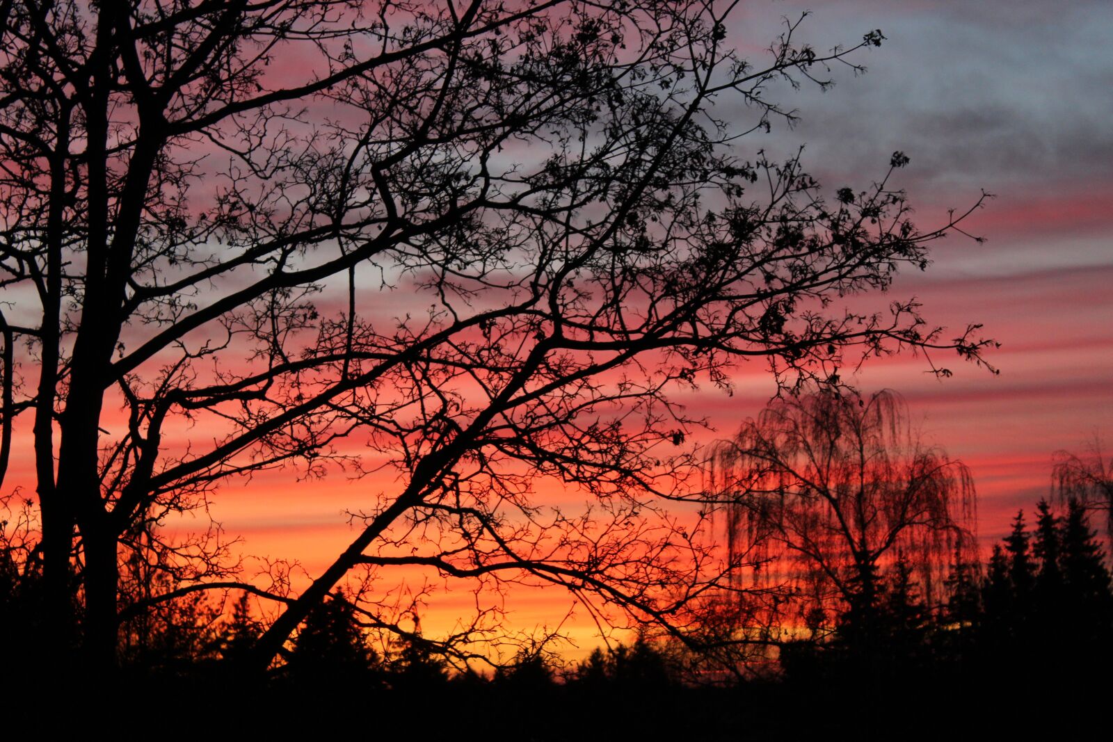 Canon EOS 4000D (EOS Rebel T100 / EOS 3000D) sample photo. Sunset, red, clouds photography