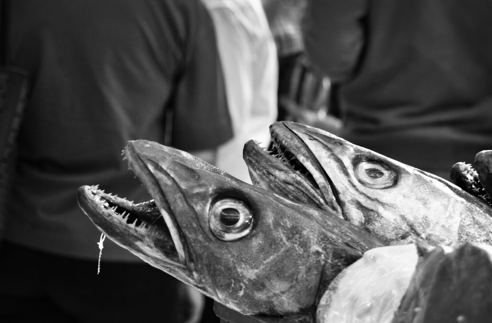 Nikon D3200 sample photo. Fish, bream, market photography