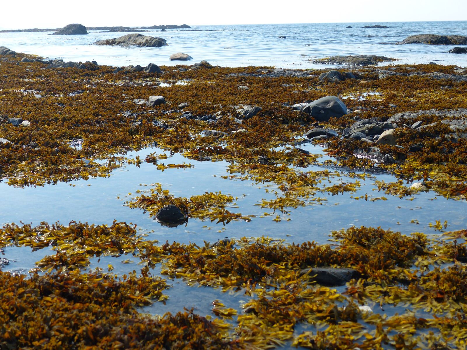Panasonic Lumix DMC-FZ200 sample photo. Sea, rocks, nature photography