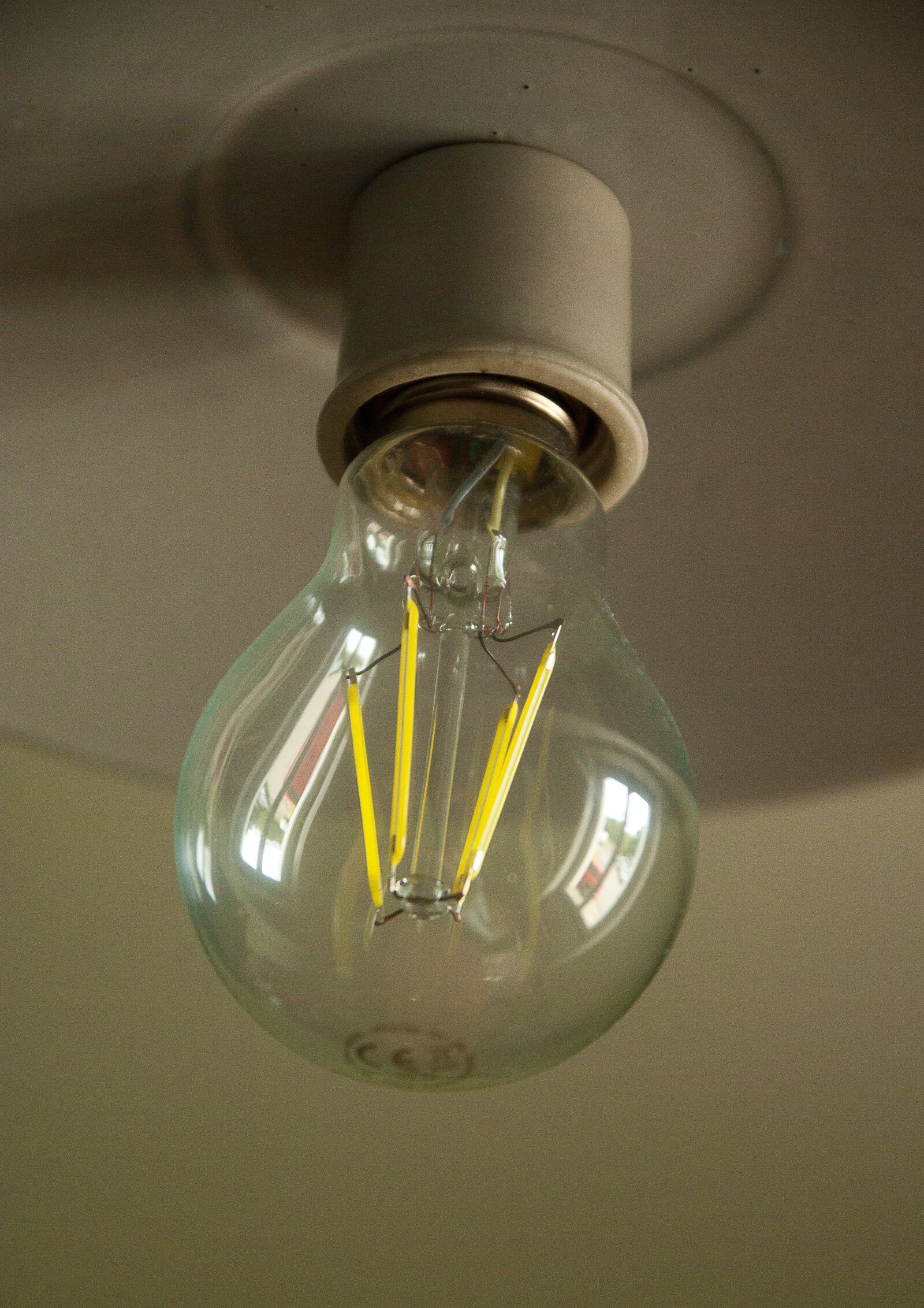 Pentax K10D sample photo. Bulb, electricity, lighting photography