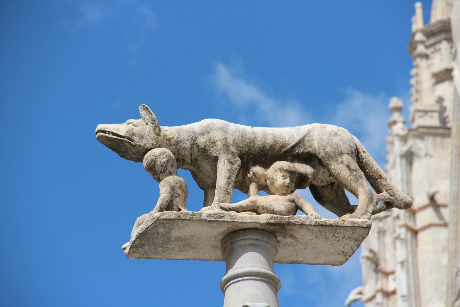 Canon EOS 600D (Rebel EOS T3i / EOS Kiss X5) sample photo. Italy, column, tuscany photography