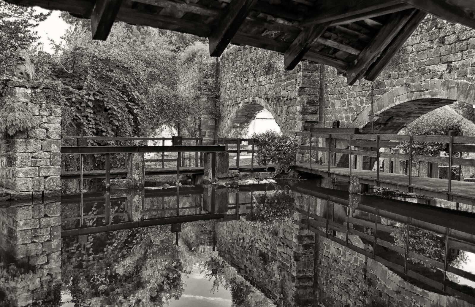 Nikon D750 sample photo. Mirroring, mirror image, reflection photography